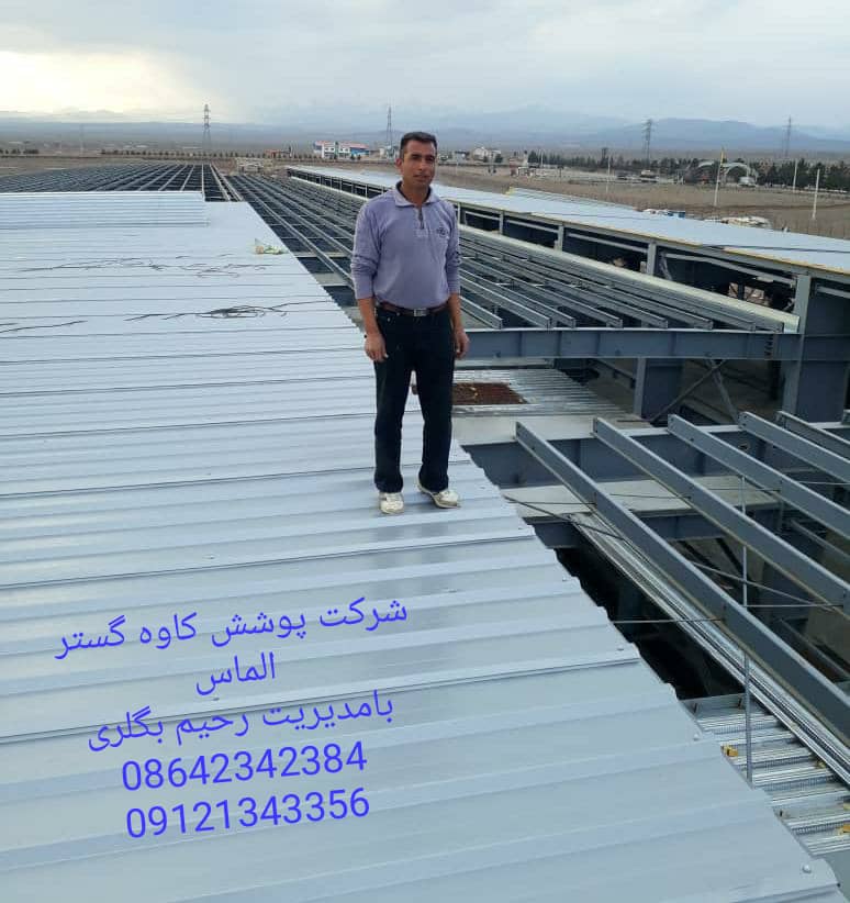 پروژه پایدار چوب